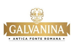 logo-galvanina